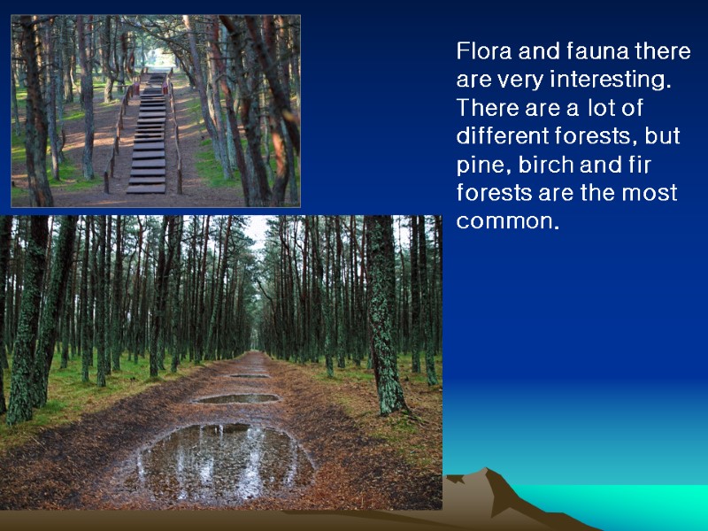 Flora and fauna there are very interesting. There are a lot of different forests,